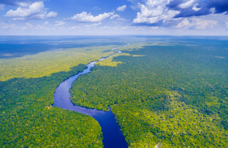 Amazon Rainforest